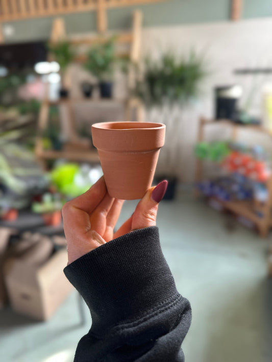 2" Terracotta Planter