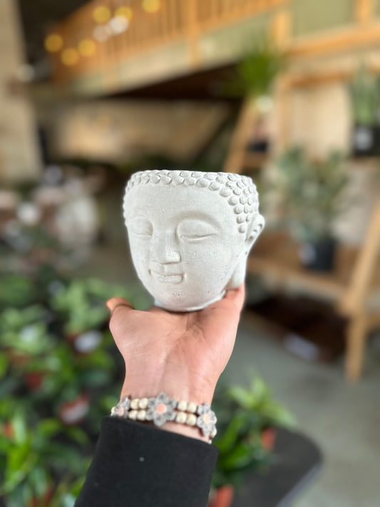 4" Buddha Planter